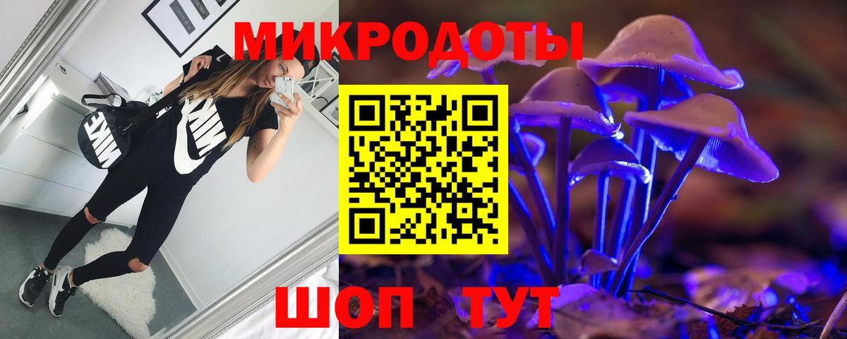 Псилоцибиновые грибы мицелий Липецк