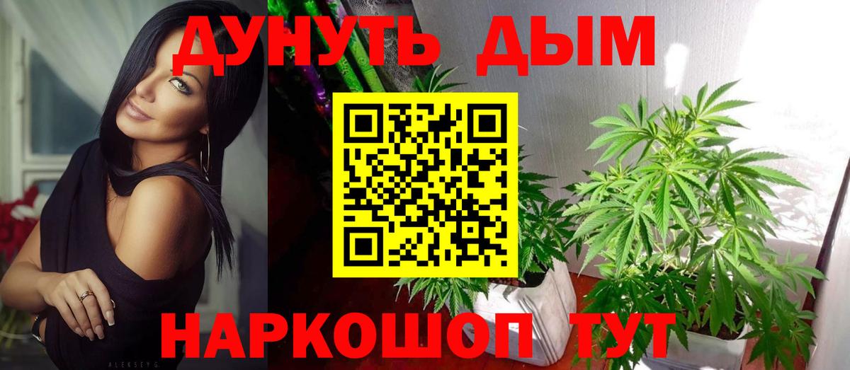 Каннабис OG Kush Липецк